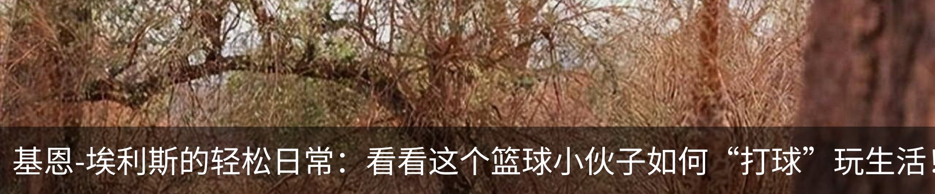 最新动态